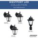 Westport LED LED 10 inch Textured Black Outdoor Wall Lantern in Integrated LED, Etched Seeded, Small, Progress LED