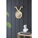 Anita 16 X 12.5 inch Gold Wall Mirror