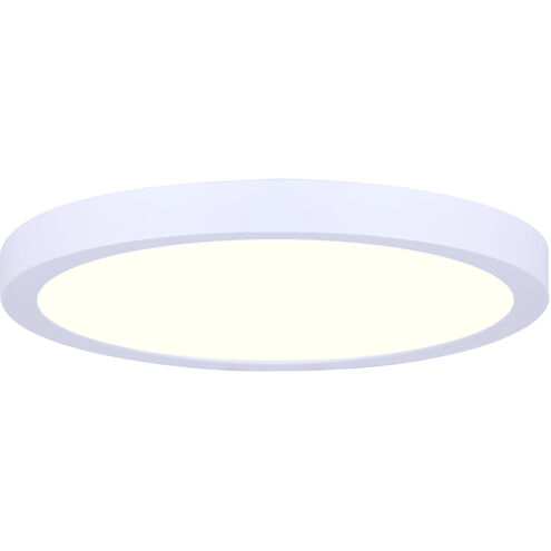 Canarm LED 15 inch White Disc Light
