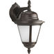 Westport 1 Light 16 inch Antique Bronze Outdoor Wall Lantern in Bulbs Not Included, Energy Star Rated, Frosted Seeded