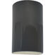 Ambiance Collection LED 12.5 inch Gloss Grey Outdoor Wall Sconce