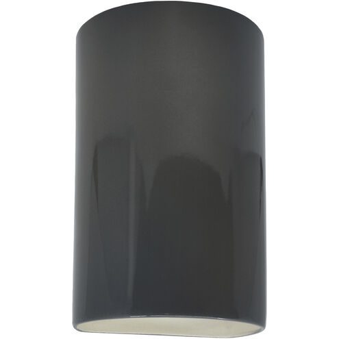 Ambiance Collection LED 12.5 inch Gloss Grey Outdoor Wall Sconce