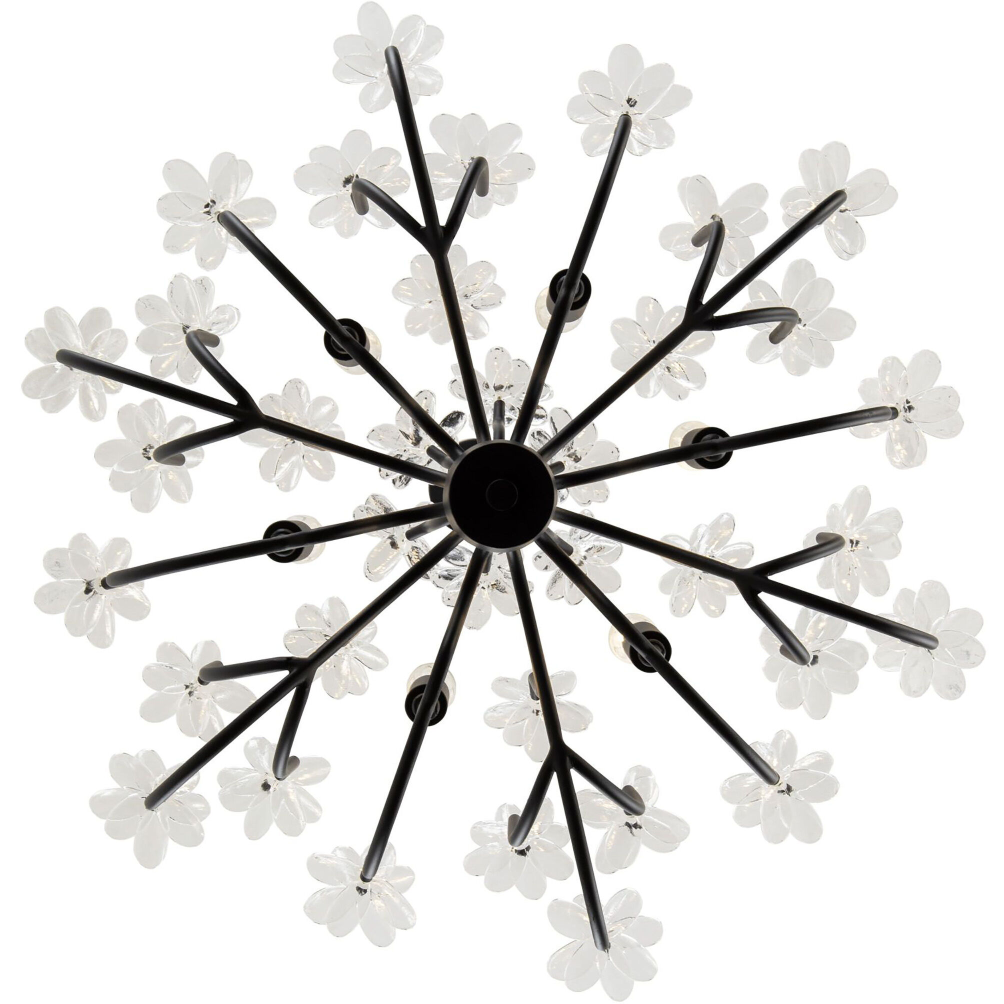 Wildflower 6 Light 26 inch Matte Black Chandelier Ceiling Light, Smithsonian Collaboration