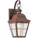 Chatham 1 Light 14.5 inch Weathered Copper Outdoor Wall Lantern, Medium