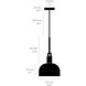 Forked LED 9.84 inch Burnt Steel Pendant Ceiling Light