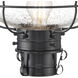 Classic Onion 1 Light 17.5 inch Gunmetal with Clear Outdoor Post Light in Gun Metal, Seedy, Medium