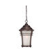 Vero 1 Light 11 inch Architectural Bronze Exterior Hanging Lantern
