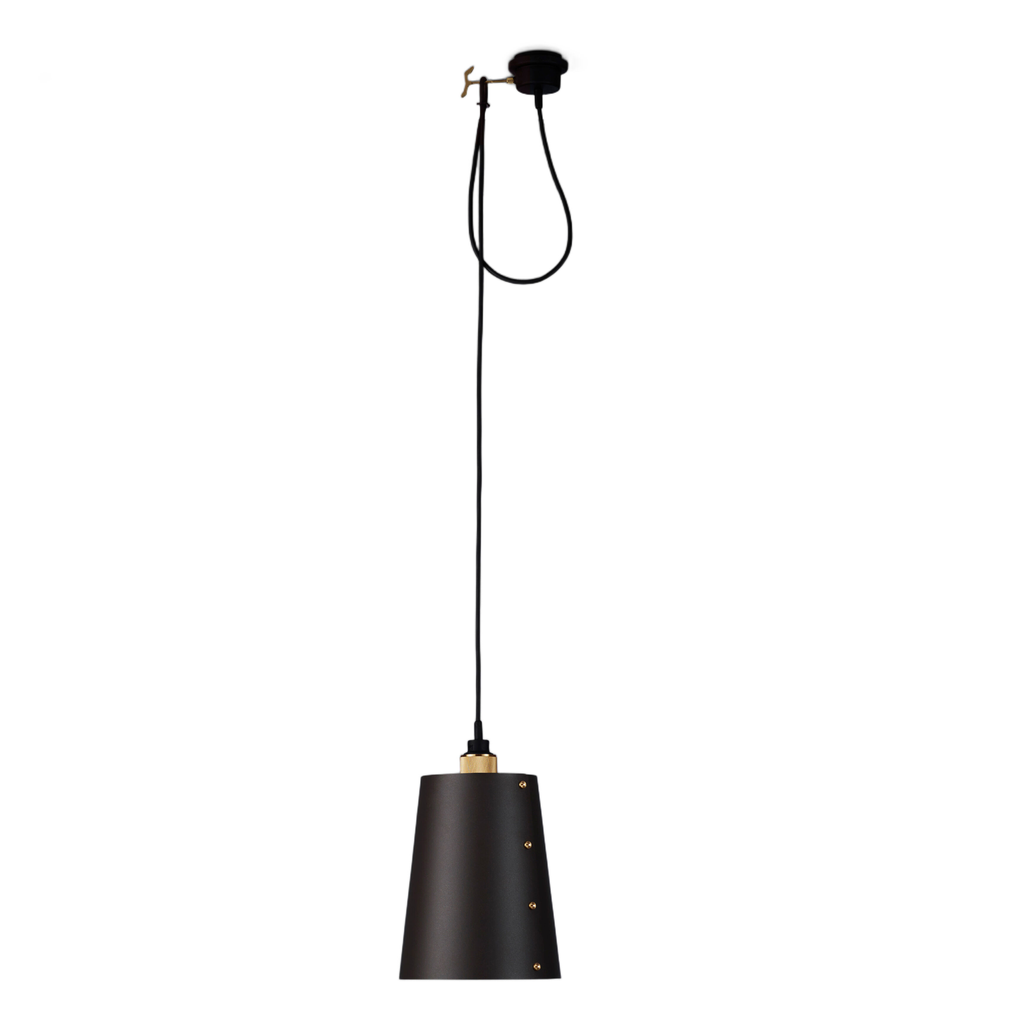 Hooked 1.0 LED 8.27 inch Graphite / Brass Pendant Ceiling Light