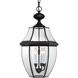 Newbury 3 Light 13 inch Mystic Black Outdoor Hanging Lantern
