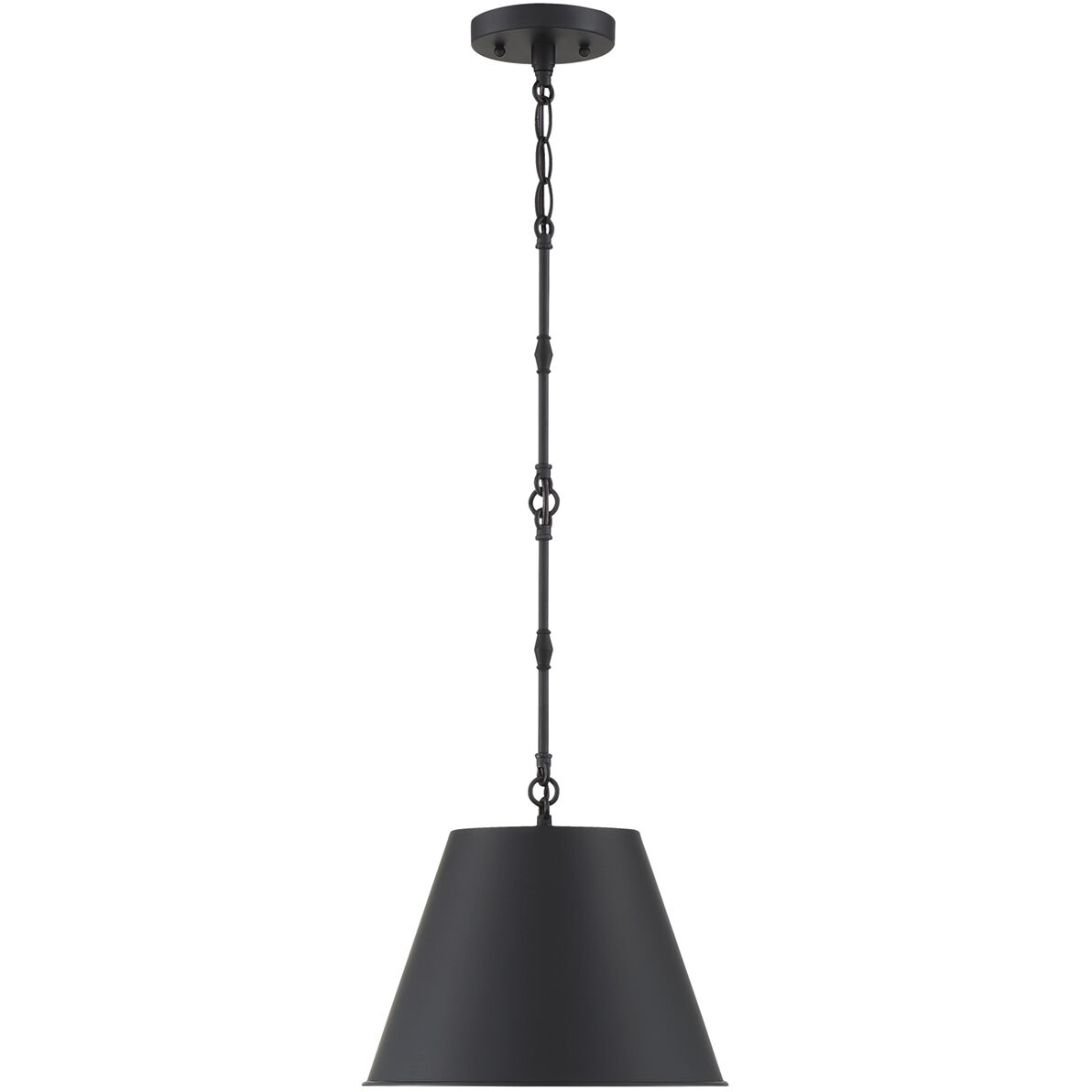 Alden 1 Light 12 inch Matte Black Pendant Ceiling Light, Essentials