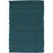 Juno 36 X 24 inch Aqua, Dark Brown Rug