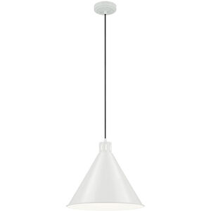 Zailey 1 Light Pendant