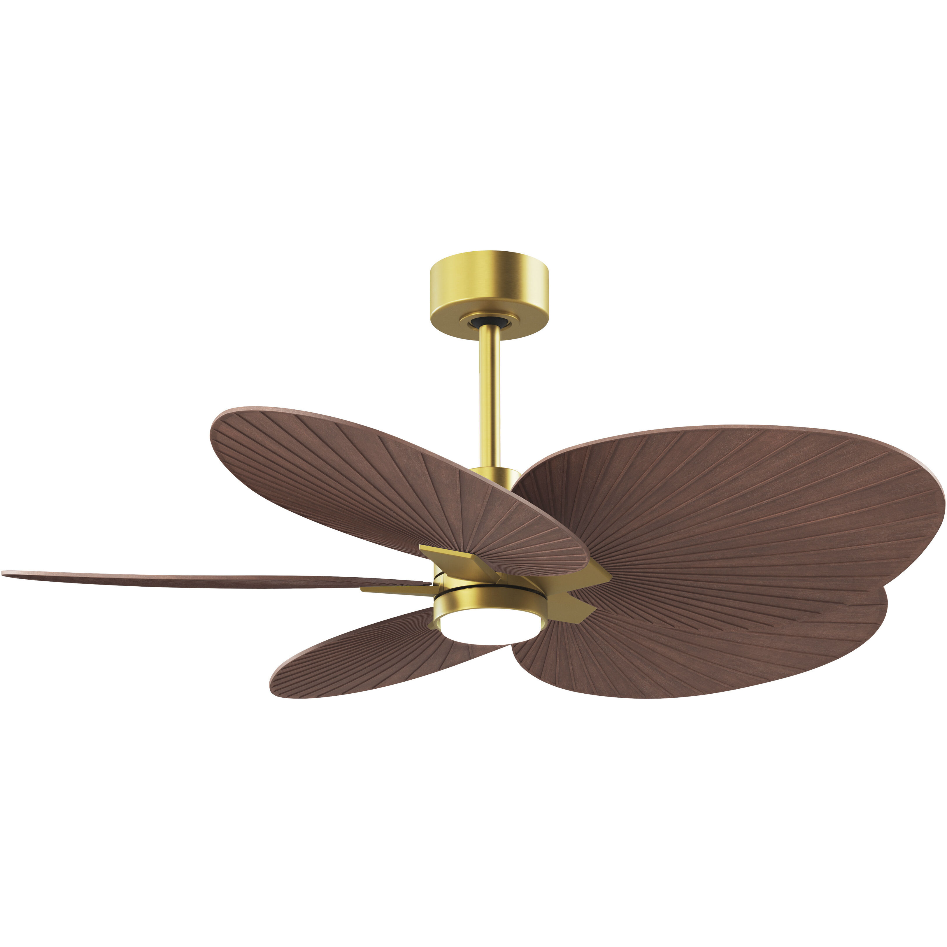 Atlas Alessandra Tropical - LK 48 inch Brushed Brass with Walnut Tone Blades Ceiling Fan