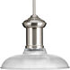 Brookside 1 Light 12 inch Brushed Nickel Pendant Ceiling Light