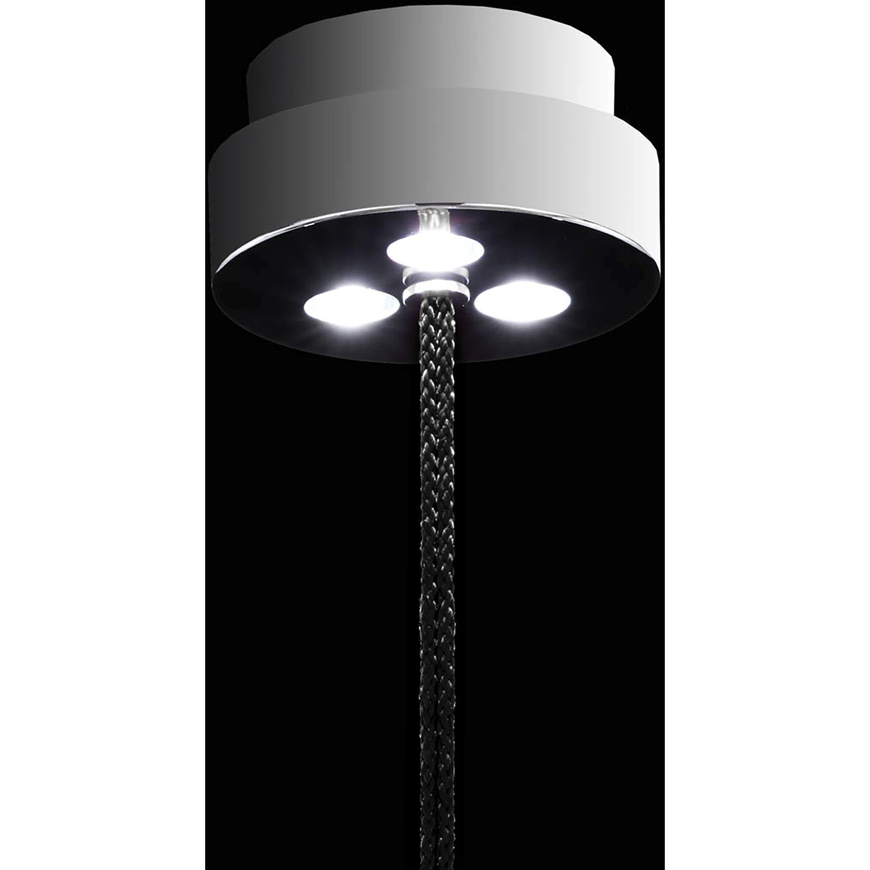 Forever Flora LED 4.25 inch Polished Chrome Pendant Ceiling Light in Black Rope, Black Rope