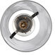 Curry 1 Light 8 inch Black Bell Mini Pendant Ceiling Light