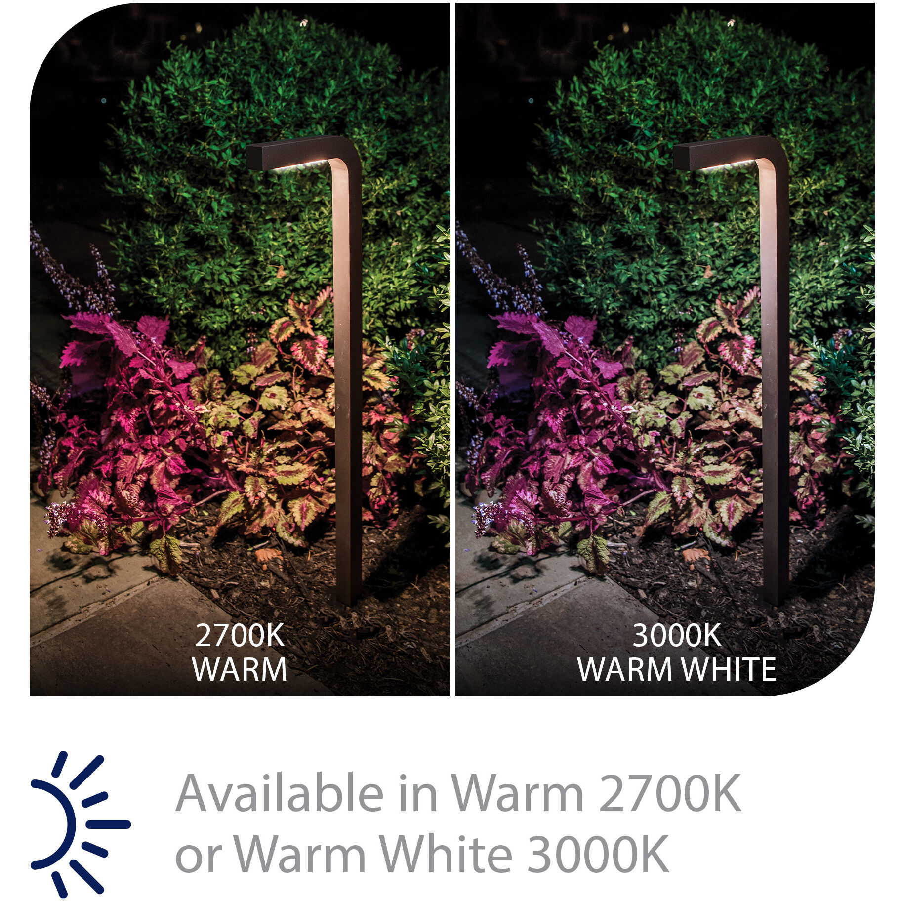 Balance 12 6.5 watt Black Path Lighting in 3000K, Path and Area Light, WAC Landscape