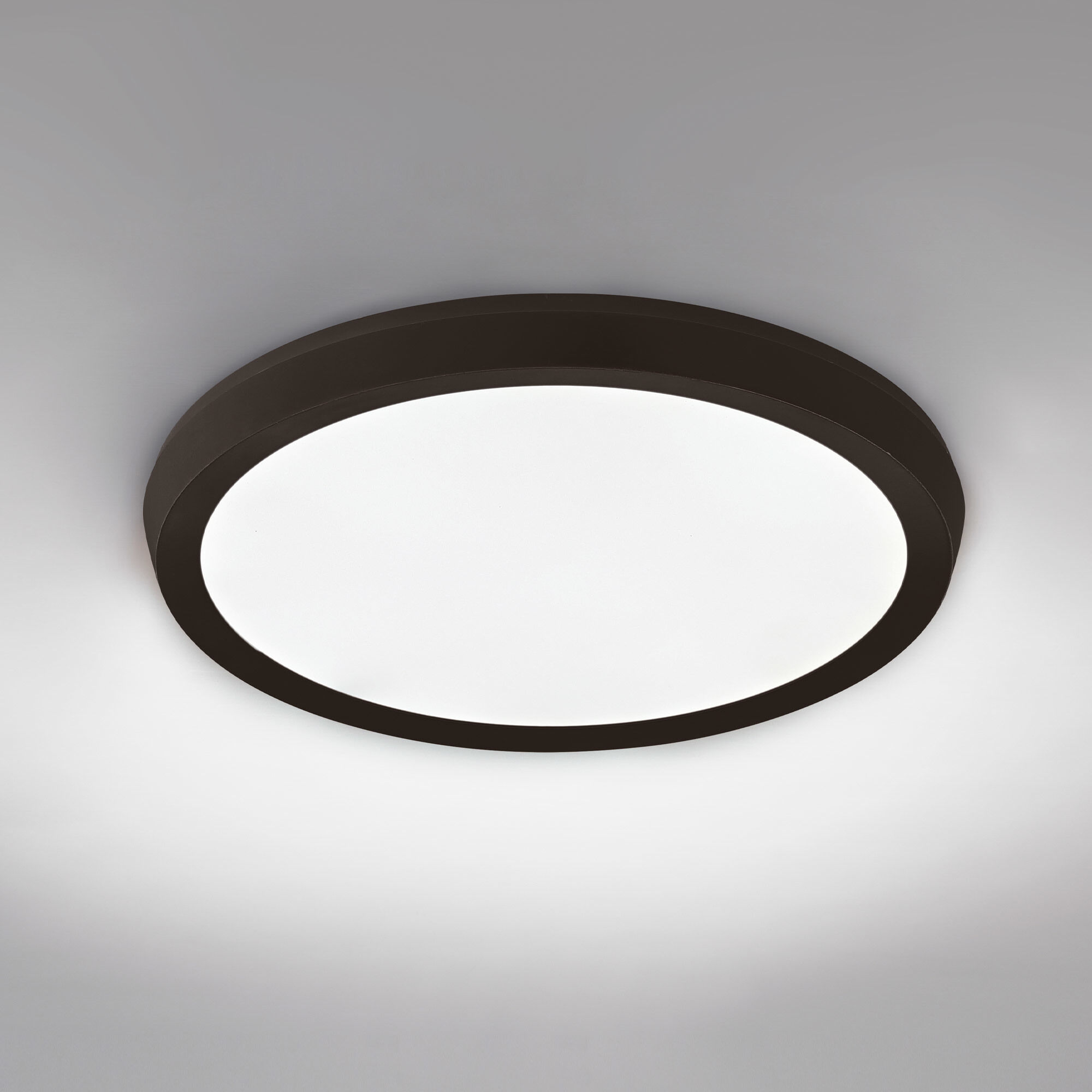 Argo 1 Light 11 inch Black Flush Mount Ceiling Light
