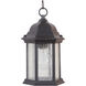 Hex Style 1 Light 6.5 inch Textured Black Outdoor Pendant in Clear Seeded, Small