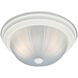 Ceiling Essentials 14 inch White with Frosted White Flush Mount Ceiling Light