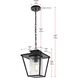 Gaul 1 Light 10 inch Black Outdoor Pendant