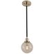 Cameo 1 Light 6 inch Matte Black Finish With Nickel Accents Mini Pendant Ceiling Light in Matte Black with Nickel Accents