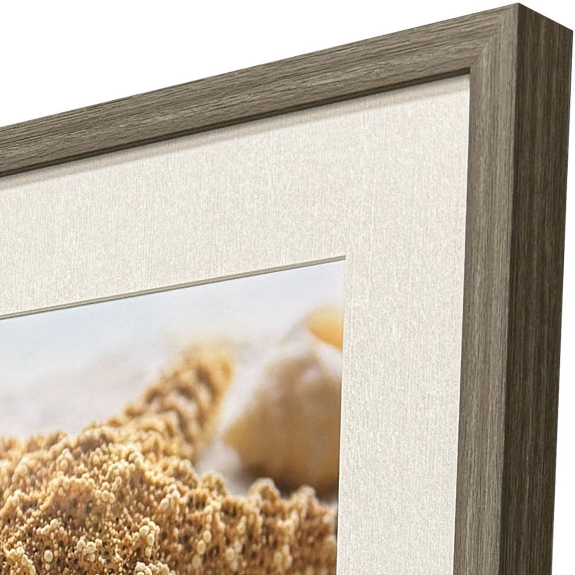 Beachy Shells Brown and Beige and Blue and Neutral Framed Art