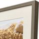 Beachy Shells Brown and Beige and Blue and Neutral Framed Art