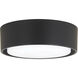 Simple LED Coal Outdoor Light Kit