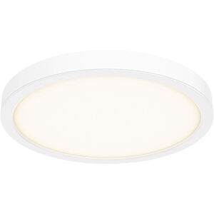 Delta LED 18 inch White Flushmount Ceiling Light, Indoor/Outdoor