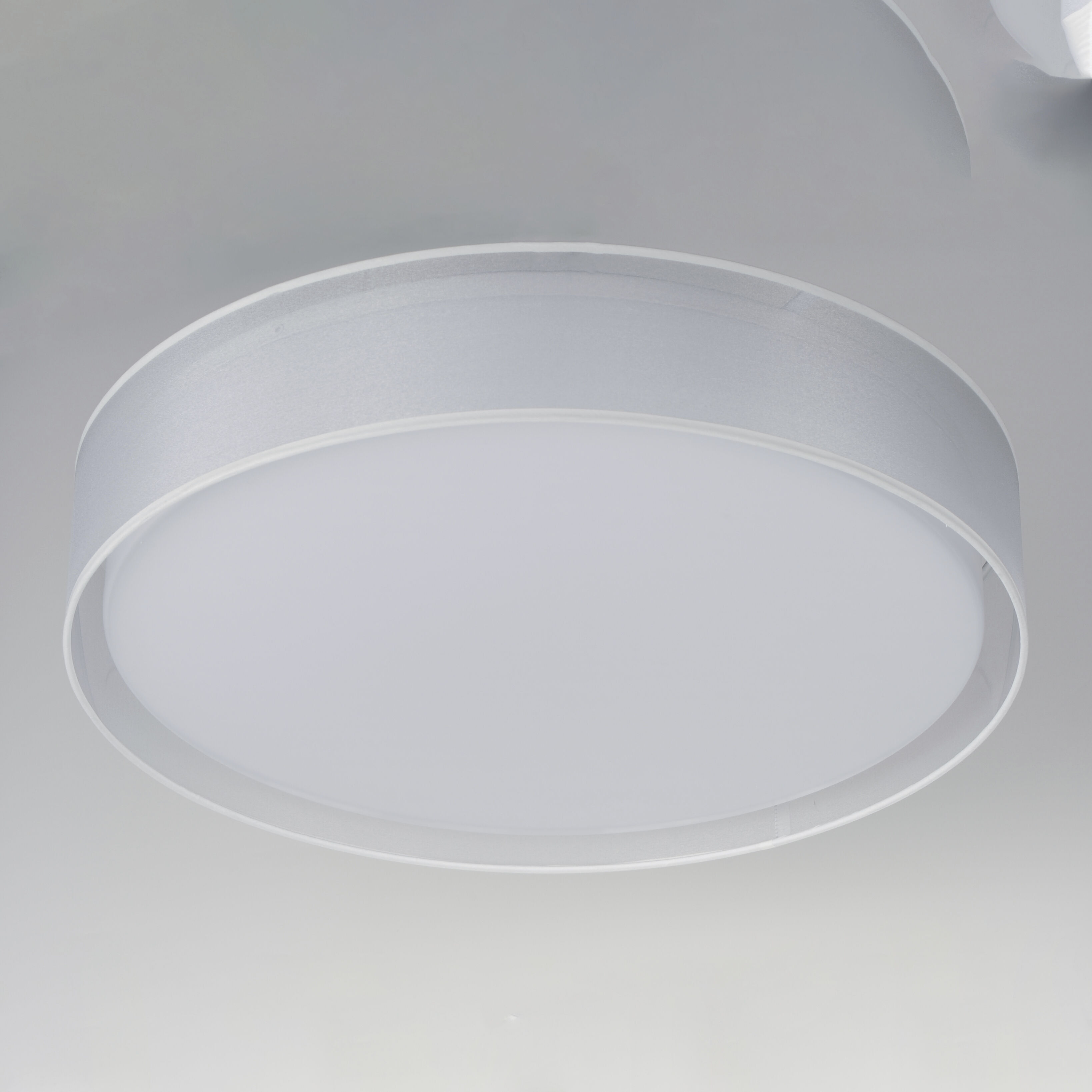 Prime LED 25 inch Flush Mount Ceiling Light