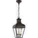 Chapman & Myers Fremont 4 Light 13 inch French Rust Outdoor Hanging Lantern, Medium