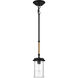 Homestead 1 Light 6 inch Espresso Outdoor Pendant