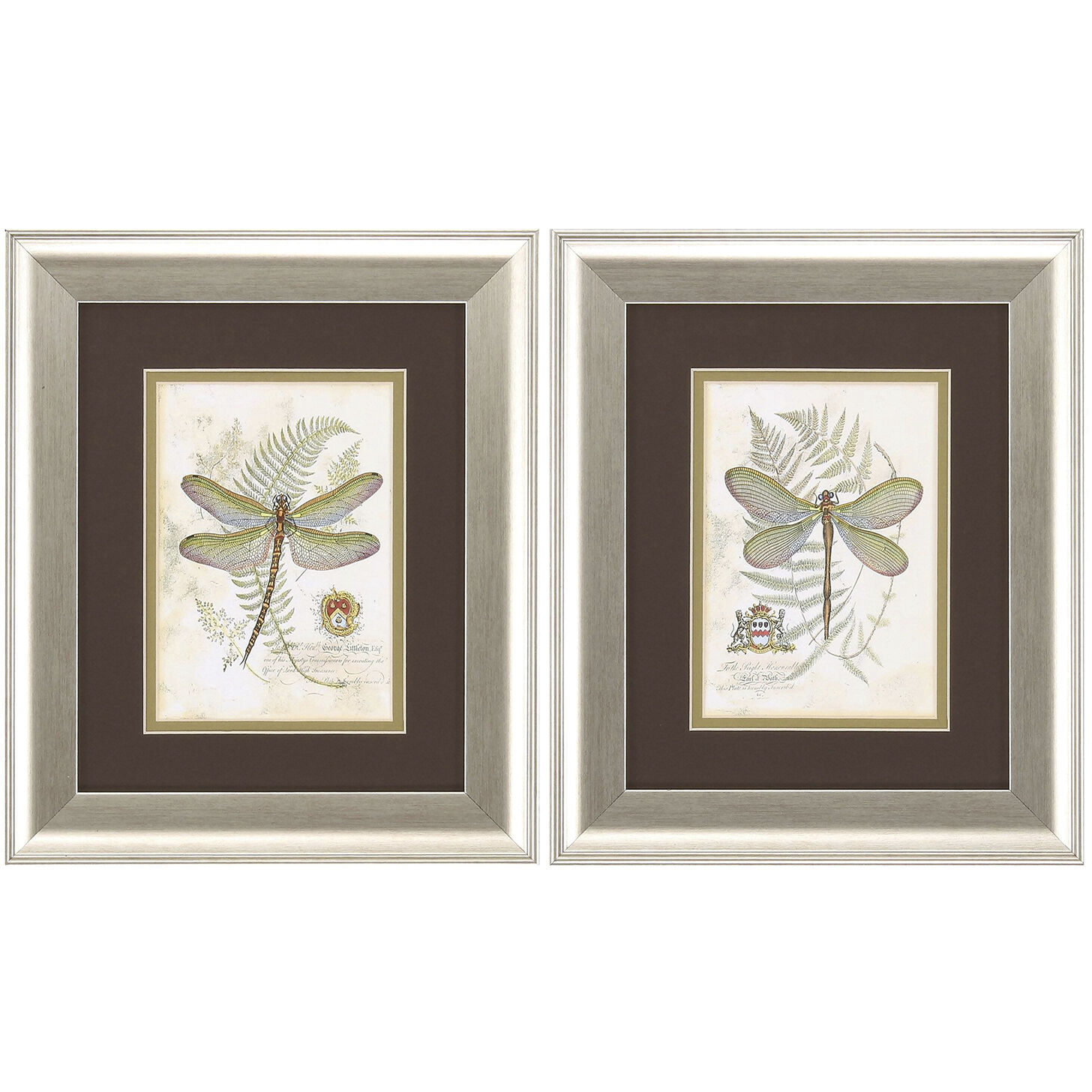 Florals Neutral Framed Art, Propac