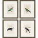 On Perch Multi and Green and Red and Beige Framed Art