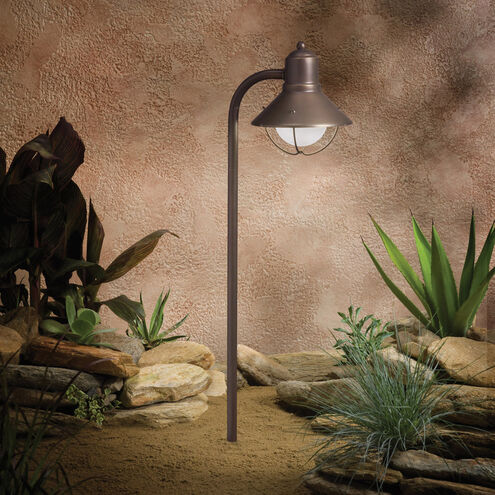 Seaside 12 18.50 watt Olde Bronze Landscape 12V Path & Spread