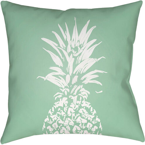 Pineapple Outdoor Cushion & Pillow