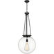 Beacon 1 Light 17.75 inch Matte Black Pendant Ceiling Light