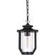 Sepviva 1 Light 7 inch Black Outdoor Pendant