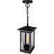 Oakwood 1 Light 6.9 inch Black Outdoor Hanging Light