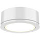 Power-Led Puck White Puck, Indoor