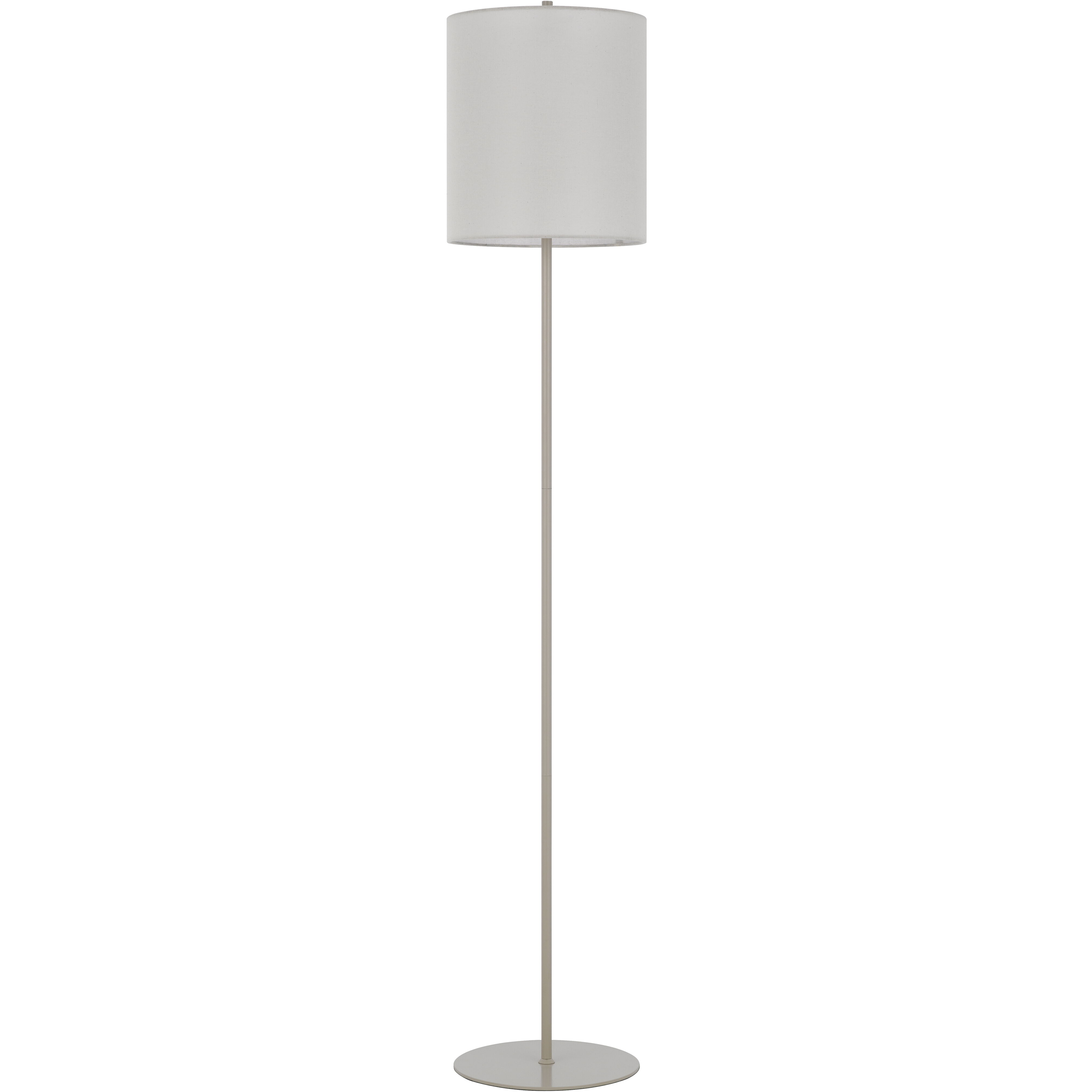 Pole 63 inch 100.00 watt Painted Silver Floor Lamp Portable Light