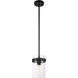 Zale 1 Light 6.88 inch Black Pendant Ceiling Light