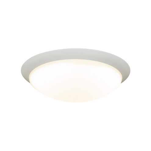 Max Flush Mount Ceiling Light