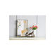 Anita Bronze and Clear Mirror Bronze Tray