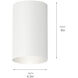 Independence 1 Light 5 inch White Outdoor Flush & Semi Flush Mt
