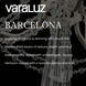 Barcelona 2 Light 12 inch Transcend Silver Wall Sconce Wall Light