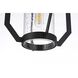 Sepviva 1 Light 7 inch Black Outdoor Pendant