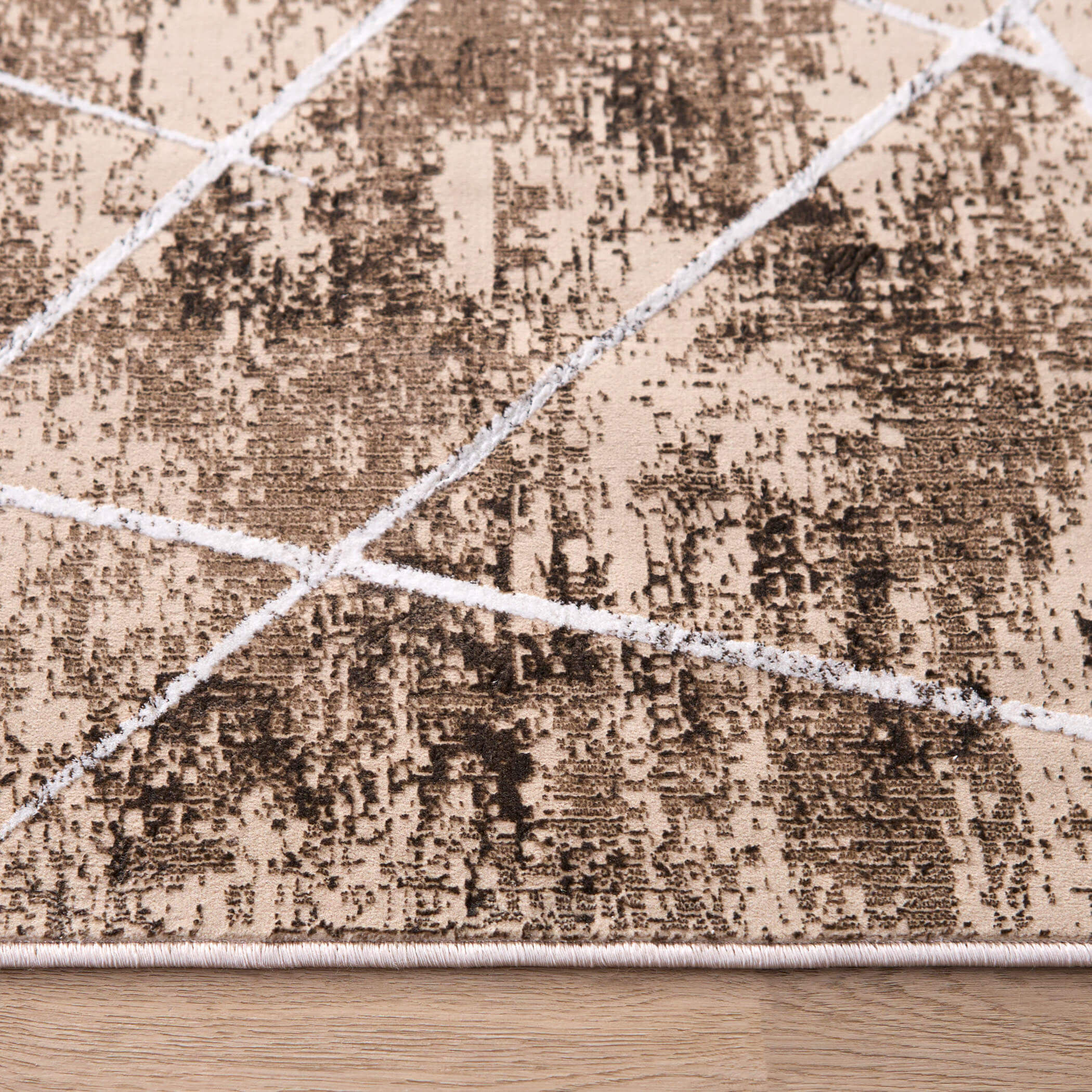 Rienz 36 X 24 inch Earth Tones Rug in 2 x 3