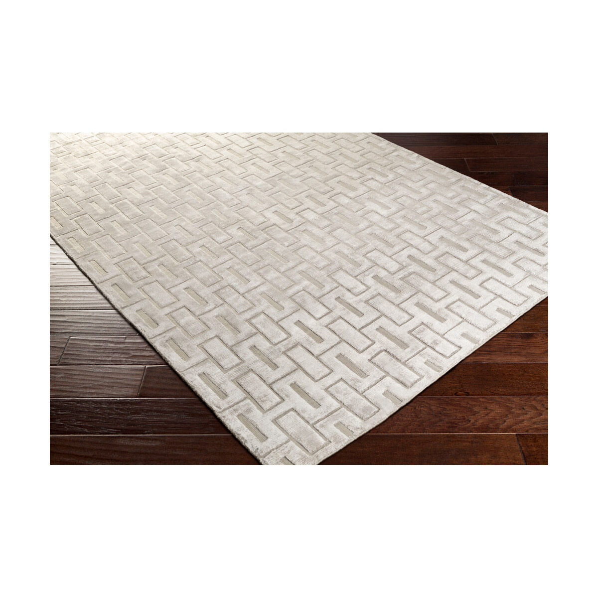 Castlebury 36 X 24 inch Light Gray Rugs, Viscose